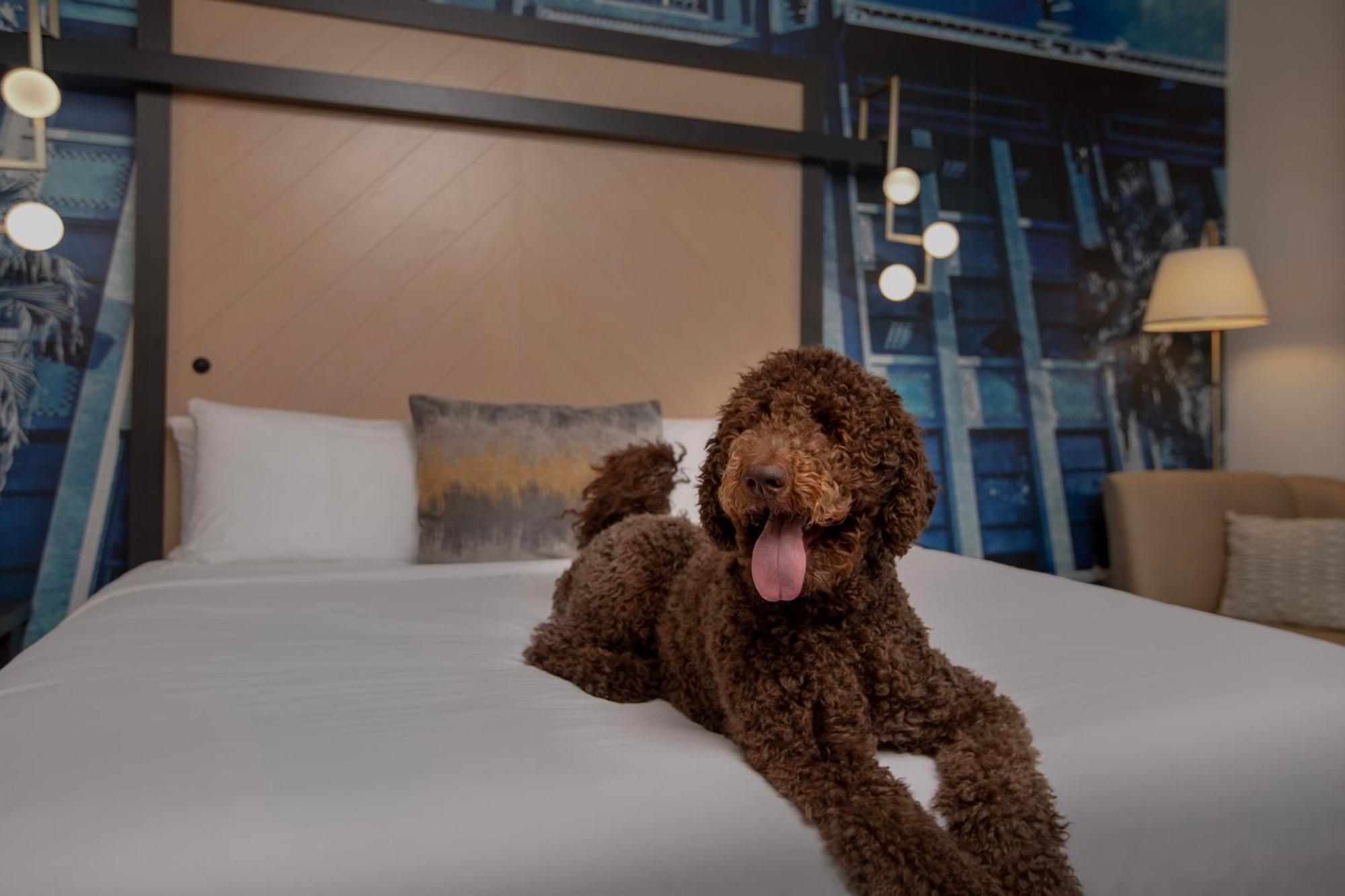 Hotel Indigo Jacksonville-Deerwood Park By Ihg Bagian luar foto